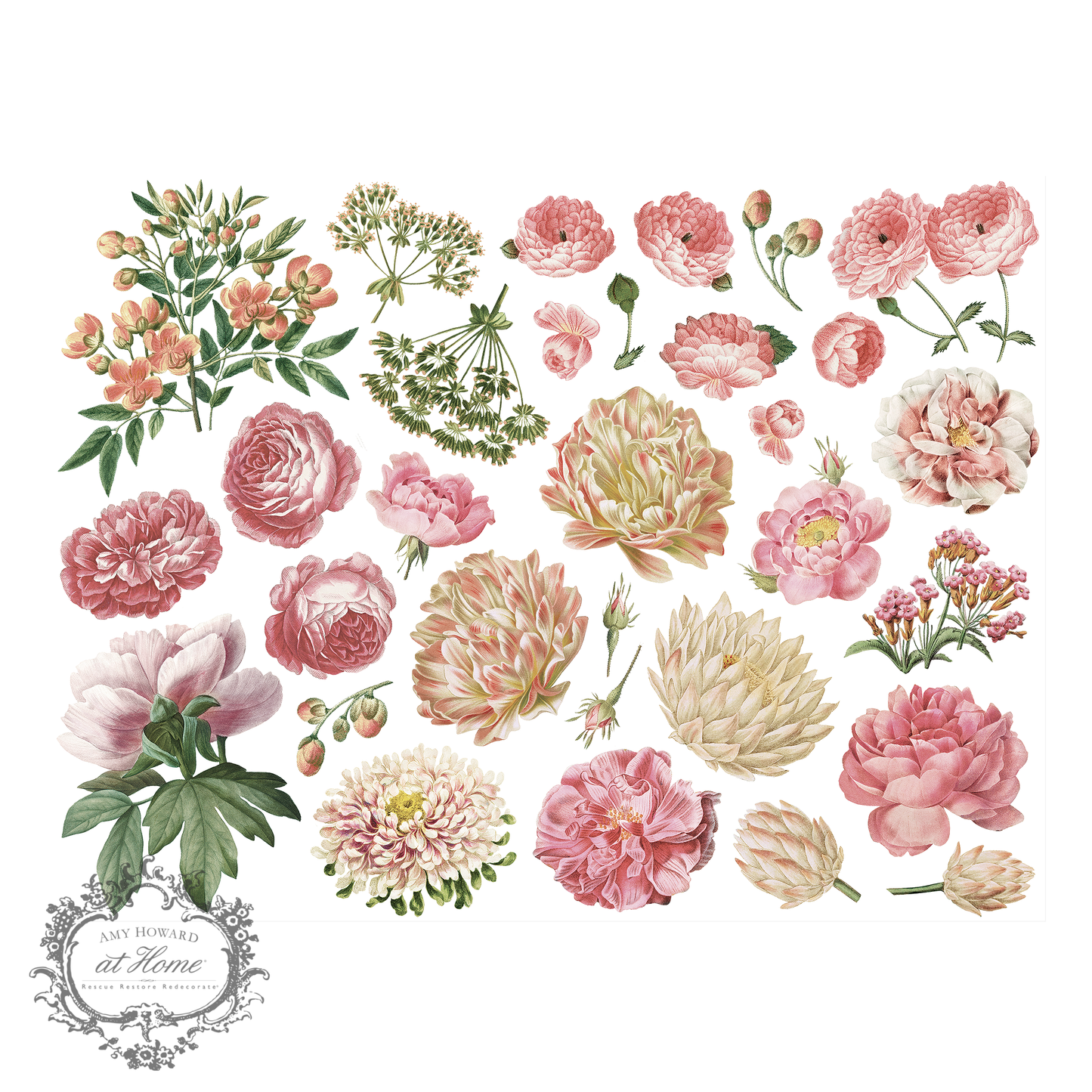 Peonies - Color Transfer 16"x12"