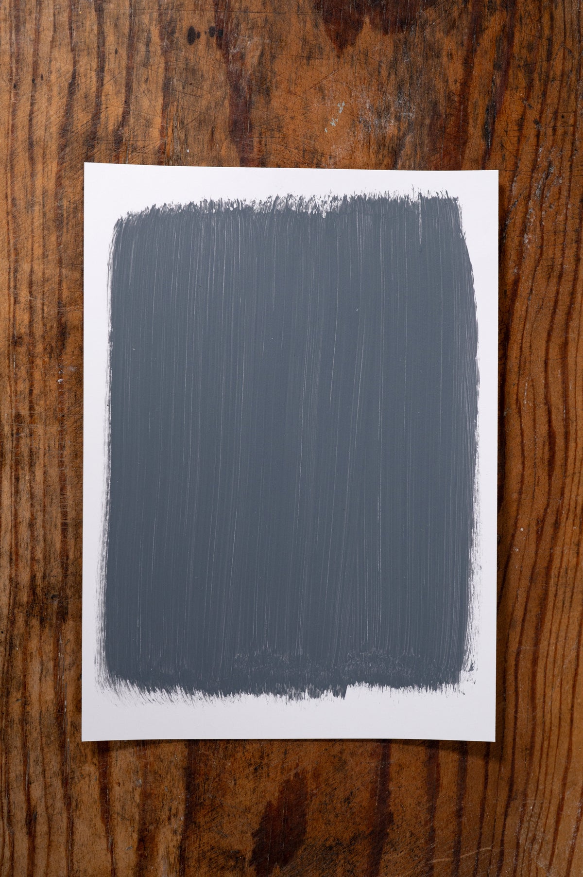 In my Prime - Manor Borne Wall Paint