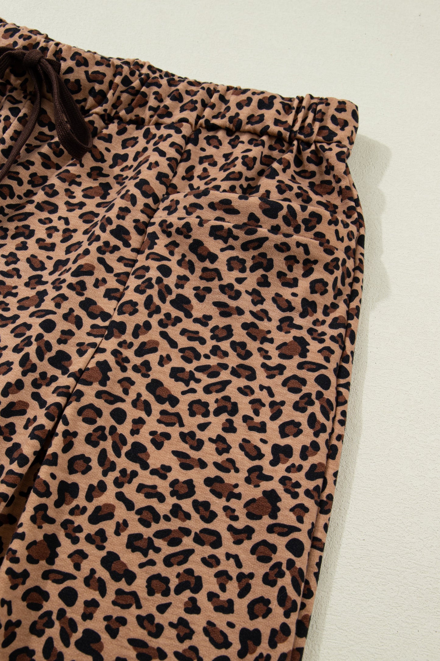 Brown Plus Size Leopard Loose Top Pleated Pants Set