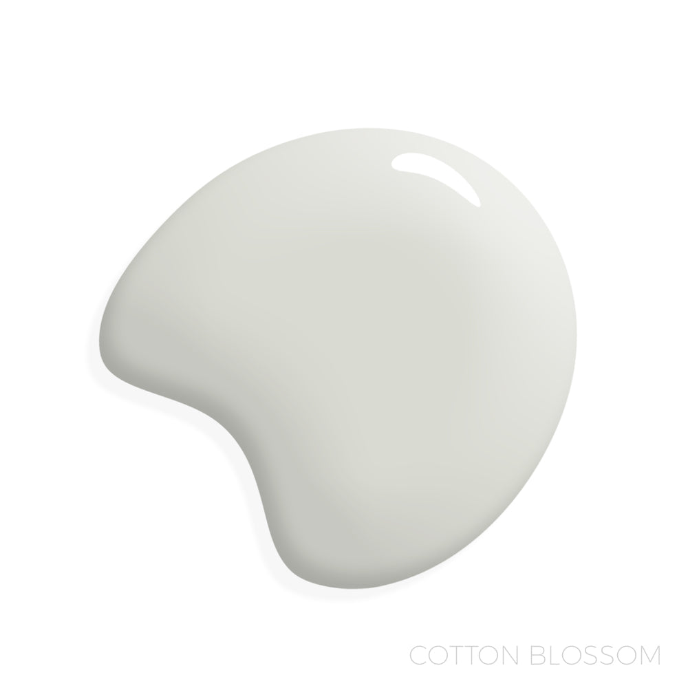 Manor Borne Wall Paint Bundle