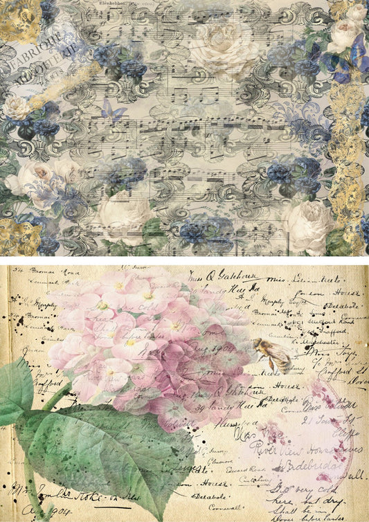 Castle Dance Hydrangea Combo Minis (#A074)