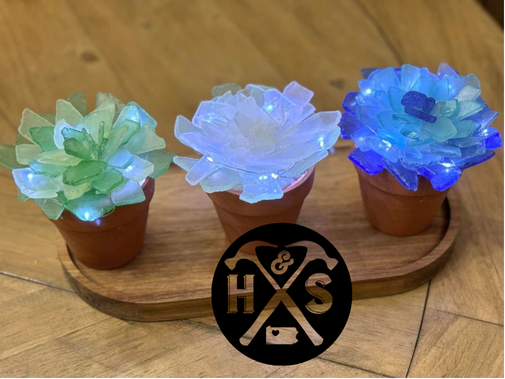 Sea Glass Succulent Workshop