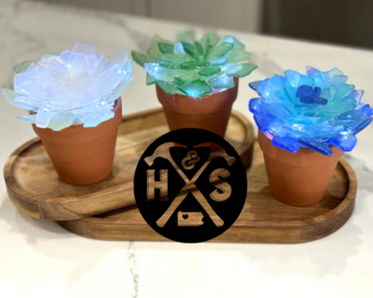 Sea Glass Succulent Workshop